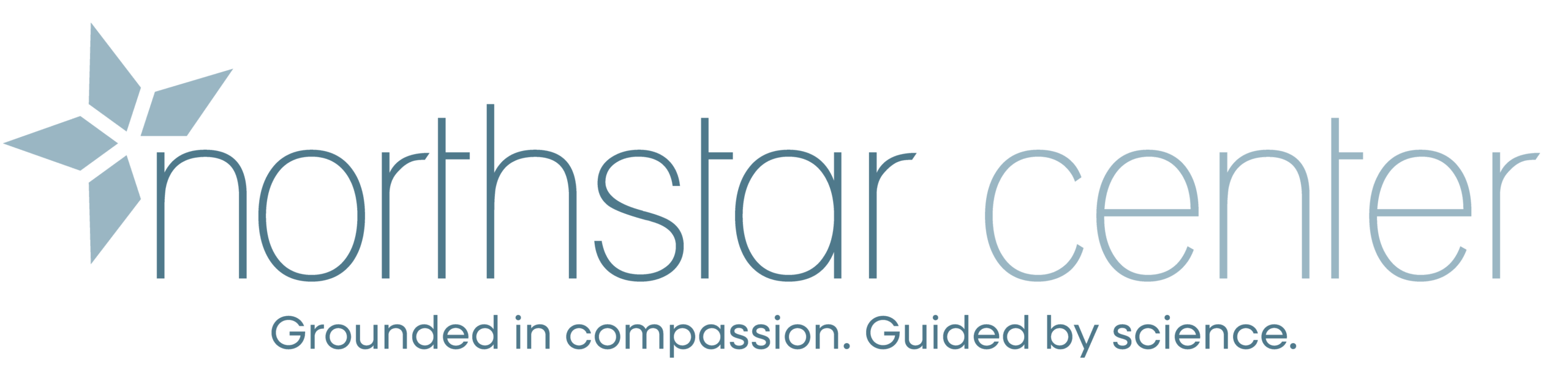 Logo for Northstar Center